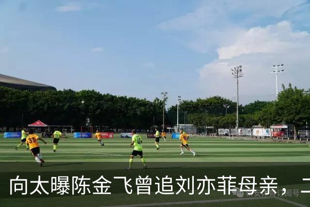 向太曝陈金飞曾追刘亦菲母亲，二十年“干爹”传闻真相究竟如何？
